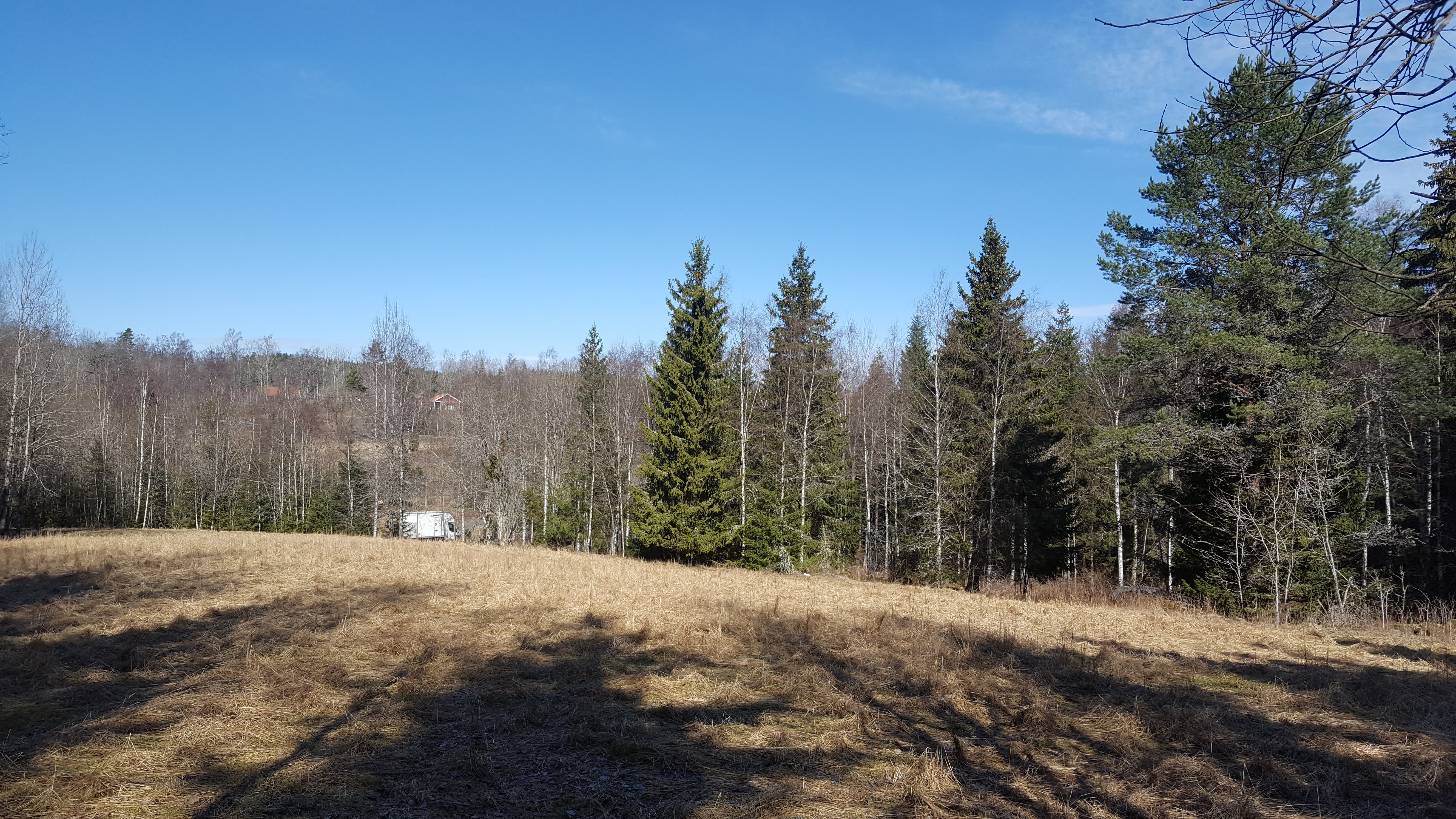 Field