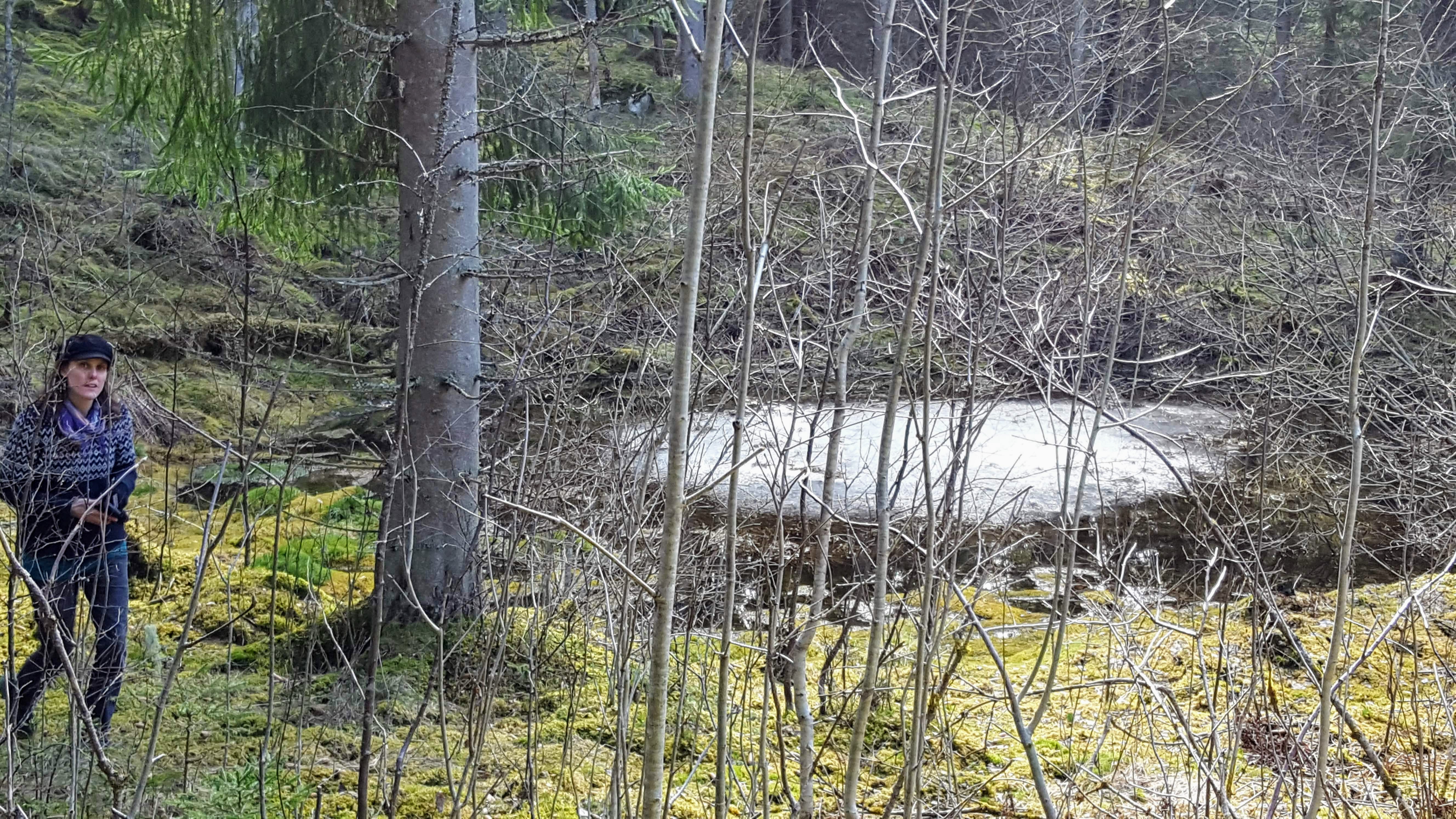 More swamp